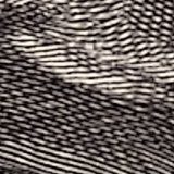 CIVIS BIP: Figura: Fiction, Illustration, Intermediality in Europe since the Early Modern